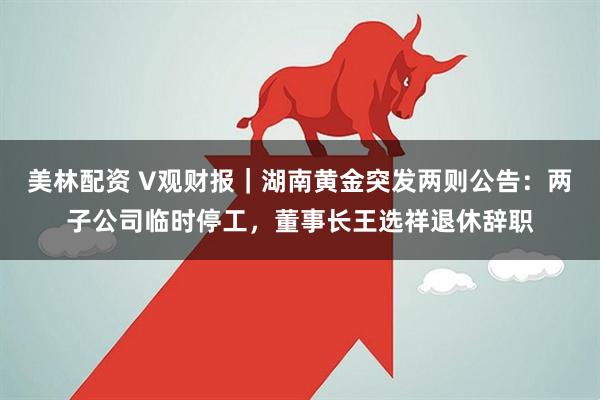 美林配资 V观财报｜湖南黄金突发两则公告：两子公司临时停工，董事长王选祥退休辞职